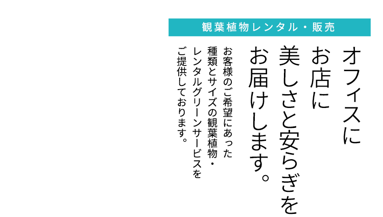 観葉植物レンタル・販売 オフィスにお店に美しさと安らぎをお届けします。