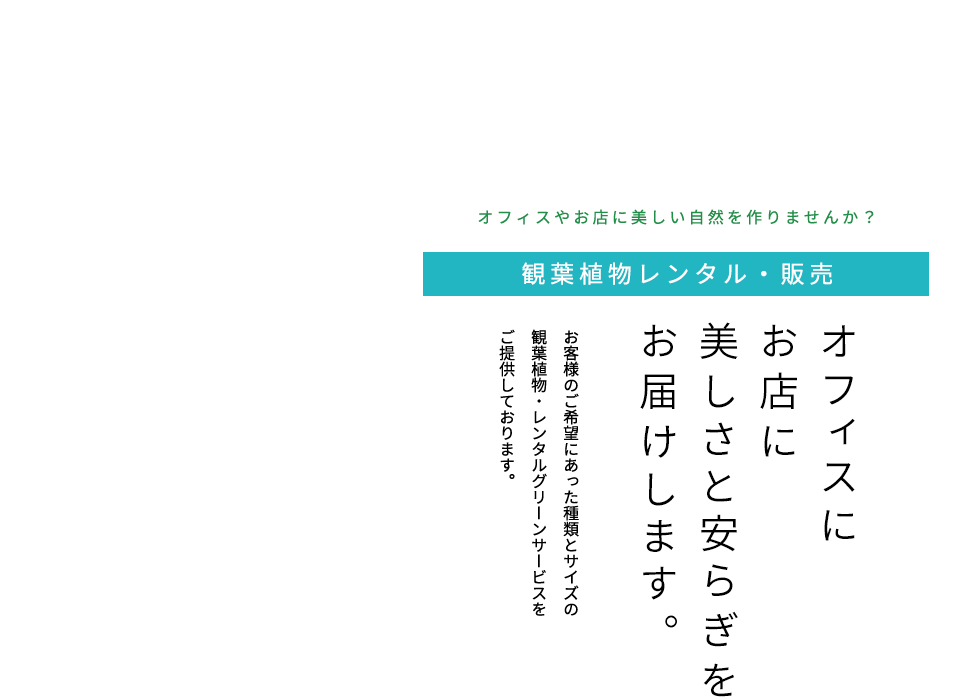 観葉植物レンタル・販売 オフィスにお店に美しさと安らぎをお届けします。